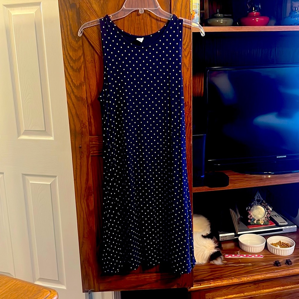Old navy large